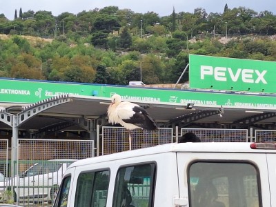 WhatsApp Image 2025-11-07 at 15.42.58.jpeg